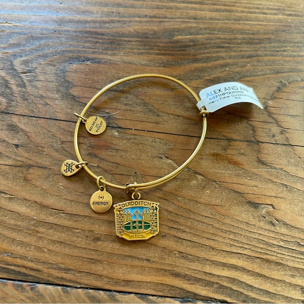 Alex and Ani Harry Potter quidditch pitch